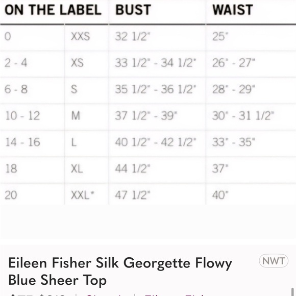 Eileen Fisher Silk Georgette Flowy Blue Sheer Top Sz M 283 - Picture 6 of 7